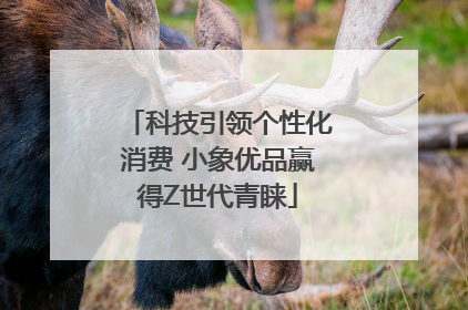 科技引领个性化消费 小象优品赢得Z世代青睐