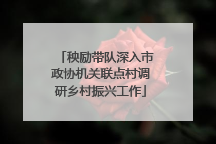 秧励带队深入市政协机关联点村调研乡村振兴工作
