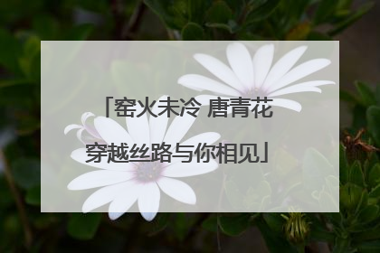 窑火未冷 唐青花穿越丝路与你相见