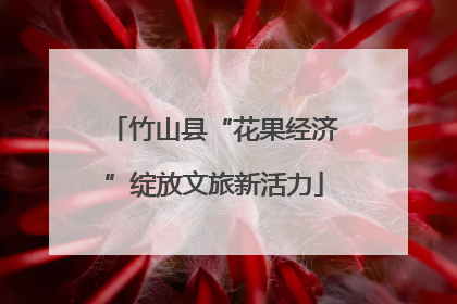 竹山县“花果经济”绽放文旅新活力