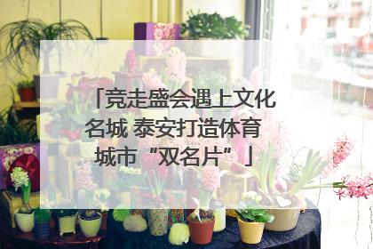 竞走盛会遇上文化名城 泰安打造体育城市“双名片”