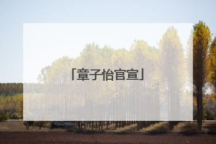 章子怡官宣