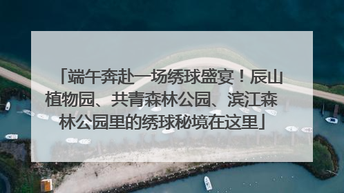 端午奔赴一场绣球盛宴！辰山植物园、共青森林公园、滨江森林公园里的绣球秘境在这里