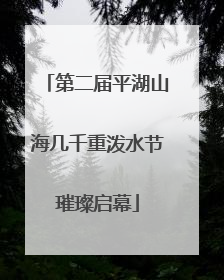 第二届平湖山海几千重泼水节璀璨启幕