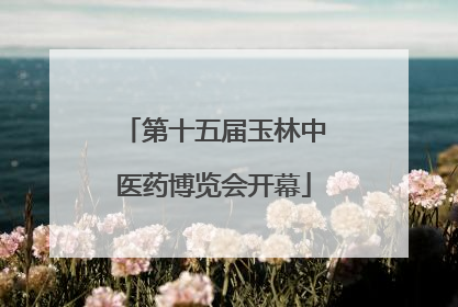 第十五届玉林中医药博览会开幕