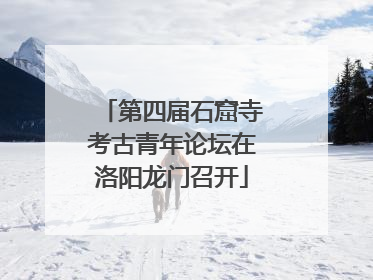 第四届石窟寺考古青年论坛在洛阳龙门召开
