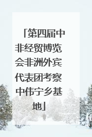 第四届中非经贸博览会非洲外宾代表团考察中伟宁乡基地