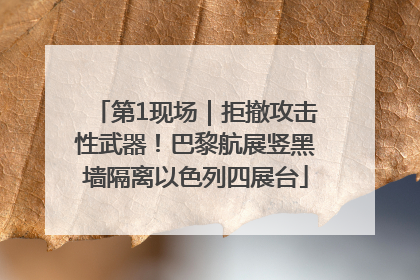 第1现场｜拒撤攻击性武器！巴黎航展竖黑墙隔离以色列四展台