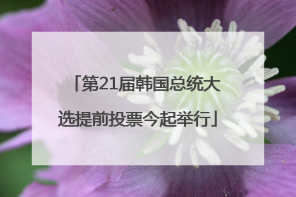 第21届韩国总统大选提前投票今起举行