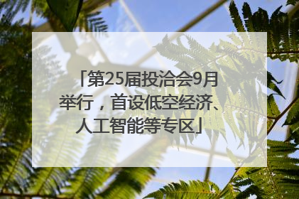 第25届投洽会9月举行，首设低空经济、人工智能等专区
