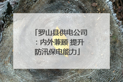 罗山县供电公司：内外兼顾 提升防汛保电能力