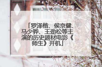 罗泽楷、侯京健、马少骅、王劲松等主演的历史题材电影《师生》开机
