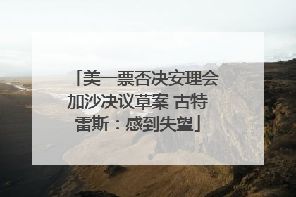美一票否决安理会加沙决议草案 古特雷斯：感到失望