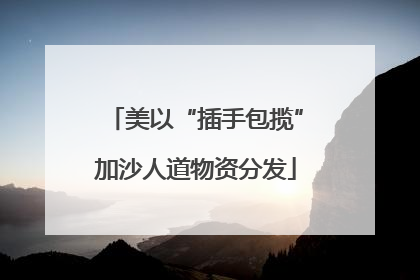 美以“插手包揽”加沙人道物资分发