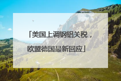美国上调钢铝关税，欧盟德国最新回应