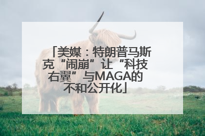 美媒：特朗普马斯克“闹崩”让“科技右翼”与MAGA的不和公开化