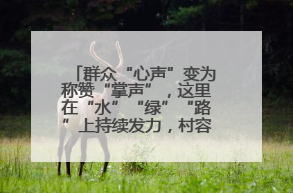 群众“心声”变为称赞“掌声”，这里在“水”“绿”“路”上持续发力，村容村貌焕然一新