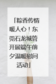 粽香传情暖人心！东莞石龙城管开展端午前夕温暖慰问活动