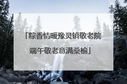 粽香情暖豫灵镇敬老院 端午敬老意满桑榆