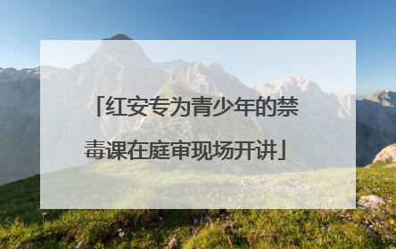 红安专为青少年的禁毒课在庭审现场开讲