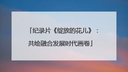 纪录片《绽放的花儿》：共绘融合发展时代画卷