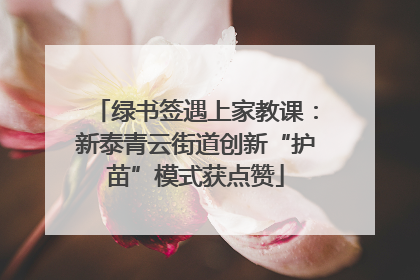绿书签遇上家教课：新泰青云街道创新“护苗”模式获点赞