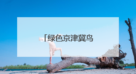绿色京津冀鸟类已超六百种