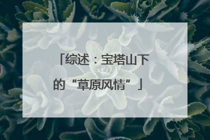 综述：宝塔山下的“草原风情”