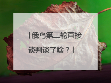 俄乌第二轮直接谈判谈了啥？