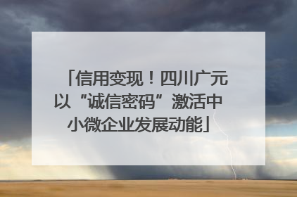 信用变现！四川广元以“诚信密码”激活中小微企业发展动能