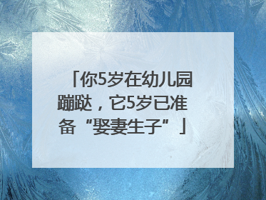 你5岁在幼儿园蹦跶，它5岁已准备“娶妻生子”