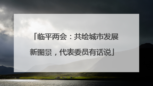 临平两会：共绘城市发展新图景，代表委员有话说