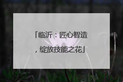 临沂：匠心智造，绽放技能之花