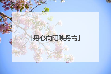 丹心向阳映丹霞