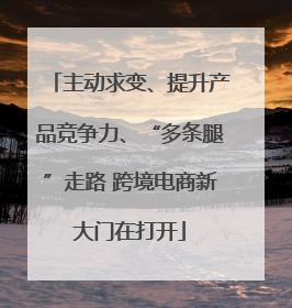 主动求变、提升产品竞争力、“多条腿”走路 跨境电商新大门在打开