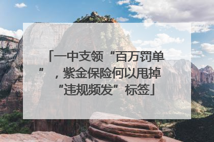 一中支领“百万罚单”，紫金保险何以甩掉“违规频发”标签