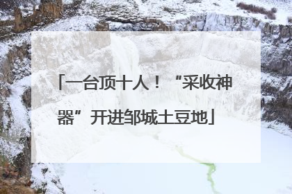 一台顶十人！“采收神器”开进邹城土豆地