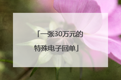 一张30万元的特殊电子回单