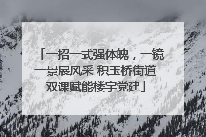 一招一式强体魄，一镜一景展风采 积玉桥街道双课赋能楼宇党建