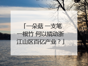 一朵菇 一支笔 一根竹 何以撬动浙江山区百亿产业？