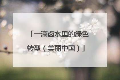 一滴卤水里的绿色转型（美丽中国）