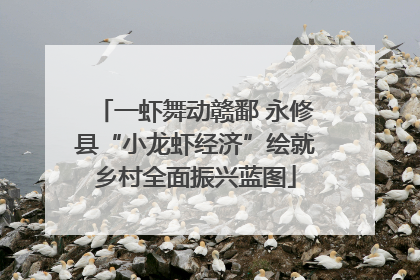 一虾舞动赣鄱 永修县“小龙虾经济”绘就乡村全面振兴蓝图