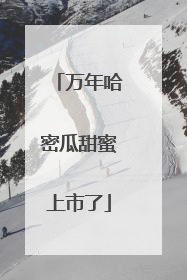万年哈密瓜甜蜜上市了