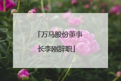 万马股份董事长李刚辞职