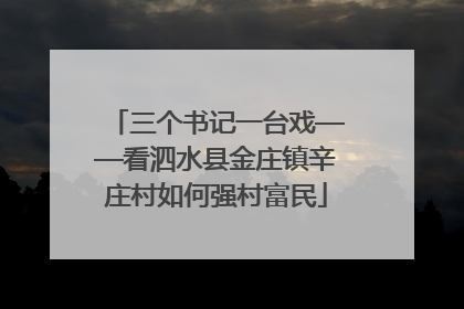 三个书记一台戏——看泗水县金庄镇辛庄村如何强村富民