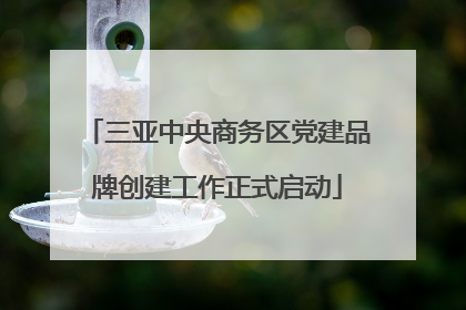三亚中央商务区党建品牌创建工作正式启动