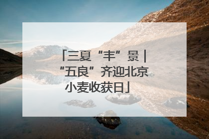 三夏“丰”景｜“五良”齐迎北京小麦收获日
