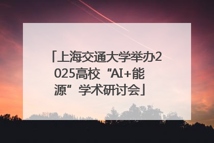 上海交通大学举办2025高校“AI+能源”学术研讨会
