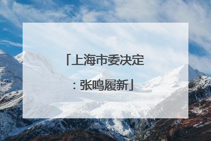 上海市委决定：张鸣履新