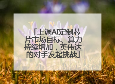 上调AI定制芯片市场目标、算力持续增加，英伟达的对手发起挑战